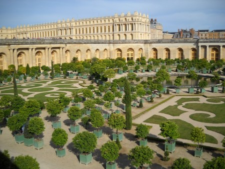 Orangerie de Versailles